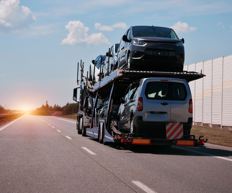 LIVRAISON PARTOUT EN FRANCE